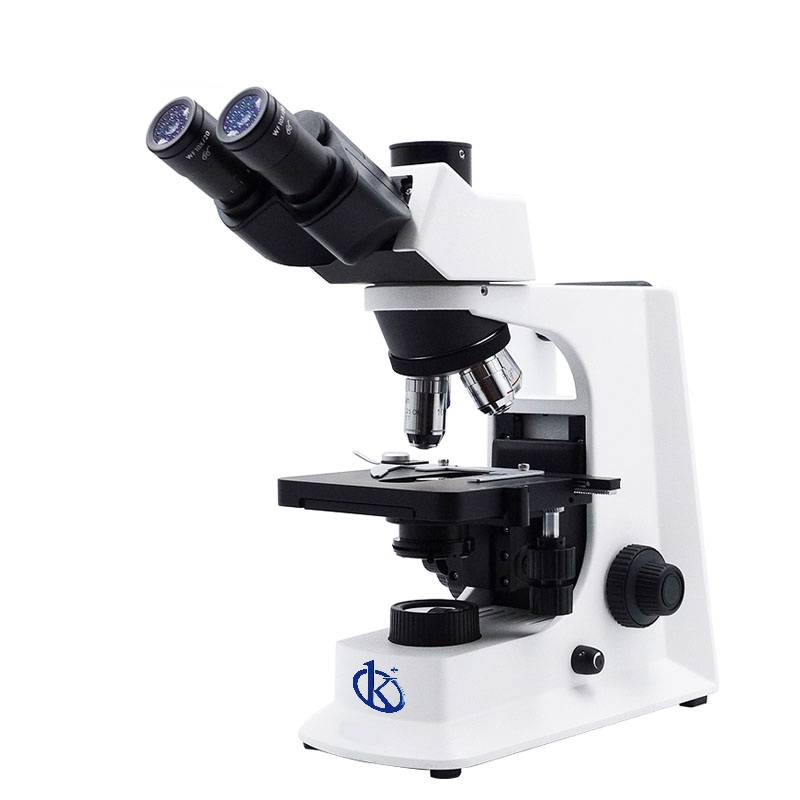 Microscope Biologique Binoculaire de Laboratoire YR07017-B