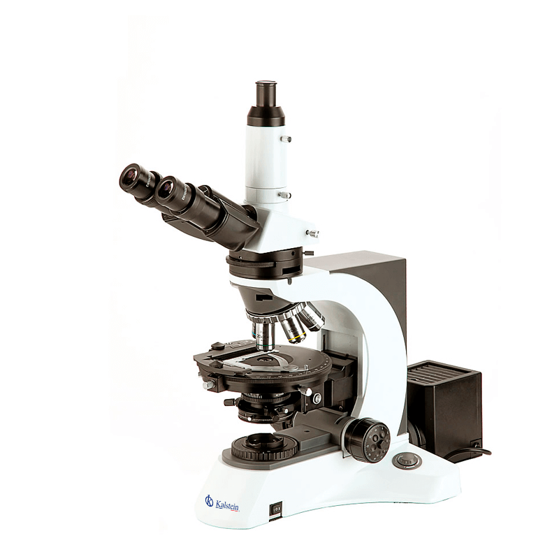 Practical Uses in Laboratories for the YR0261 Trinocular Microscope