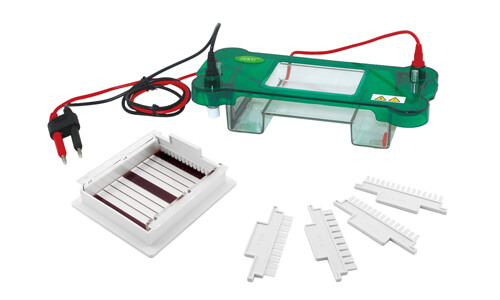 Horizontal Electrophoresis YR03416: A Comprehensive Overview
