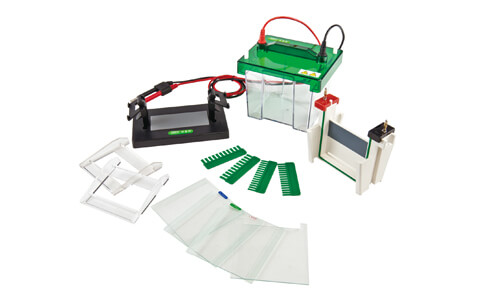 Energy Sustainability and Environmental Footprint Reduction in Vertical Electrophoresis 2026