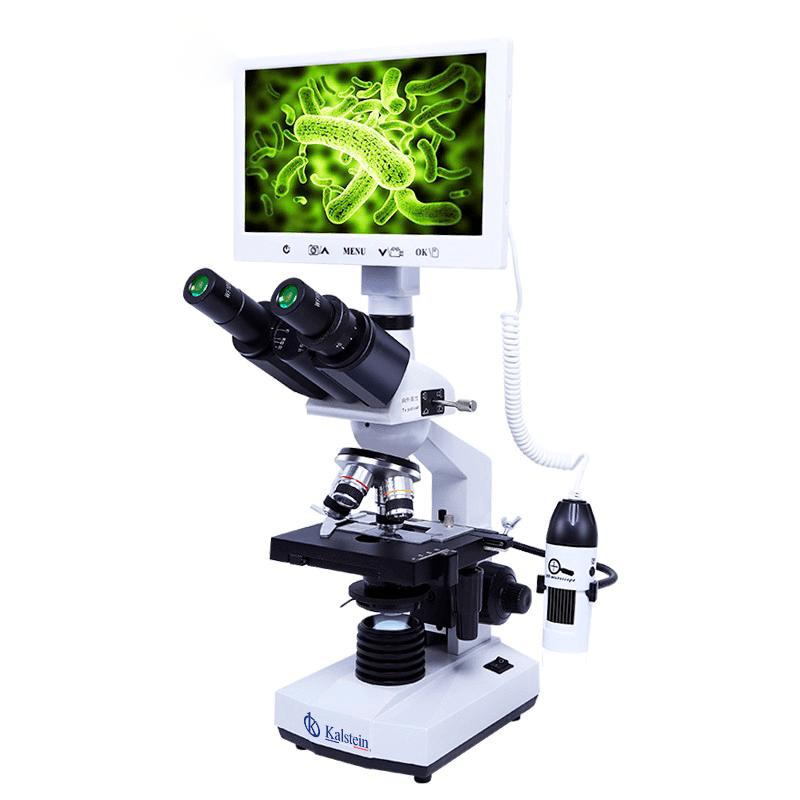 Practical Applications in Laboratories: Digital Biological Microscope YR0584