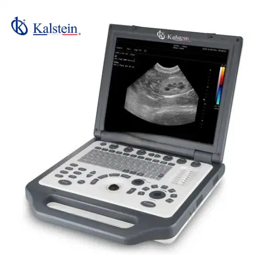 Veterinary Color Doppler: ROI and Cost-Benefit Analysis for the Lab 2026