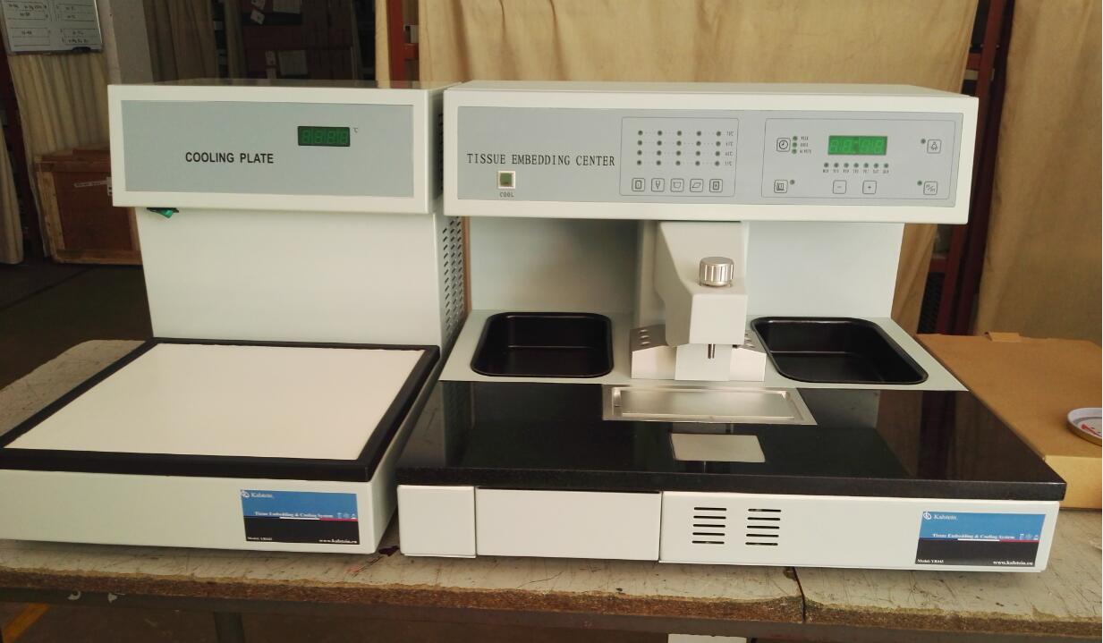 What is a tissue processor in pathology?