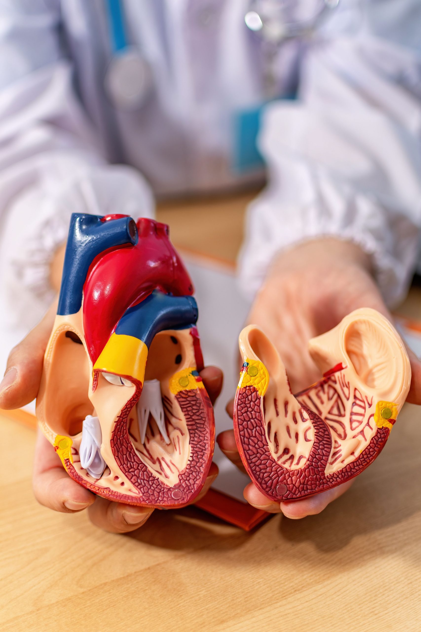 Des Chercheurs Ont Fabriqué Le Premier Muscle Cardiaque Humain