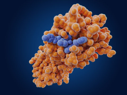 Créez Un Logiciel Qui Vous Permet De Essayer 50 000 Enzymes Par