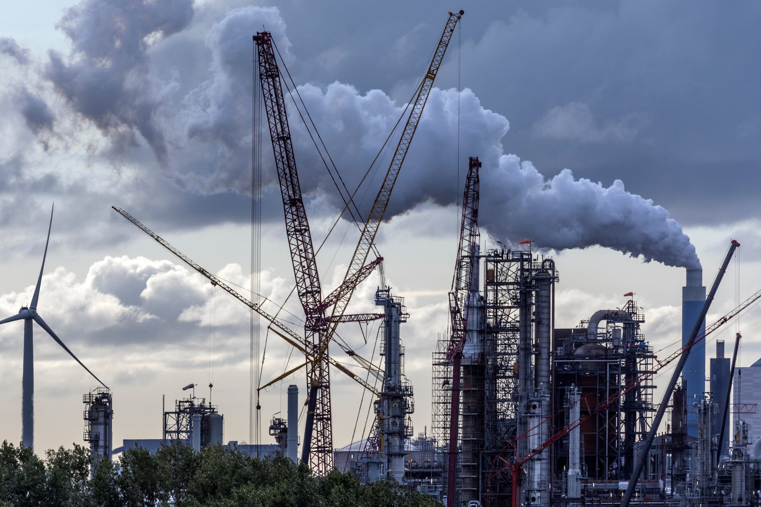 Processing rare earth elements