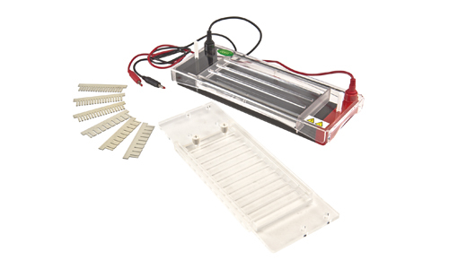 How does an electrophoresis device work?