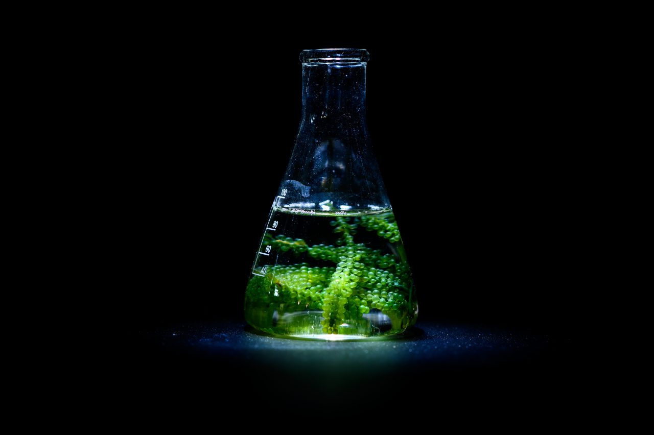 Fluoromètres : Recommandations et soins