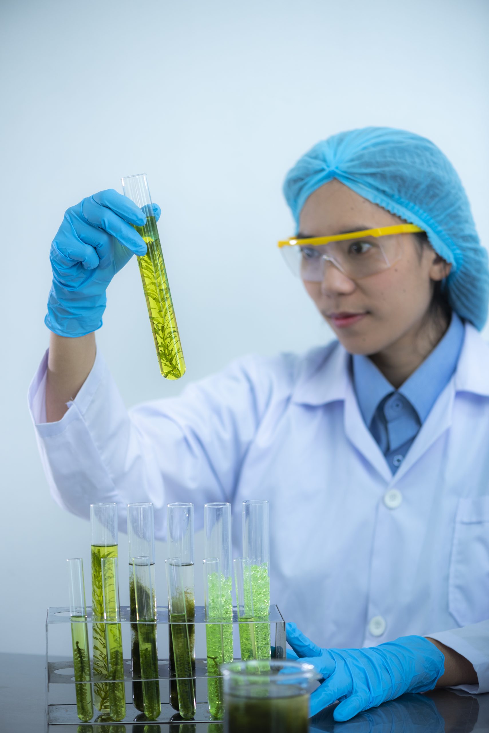 Importance du fluoromètre