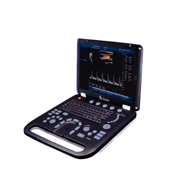 How to Use an Ultrasound Scanner to Detect Fetal Abnormalities?
