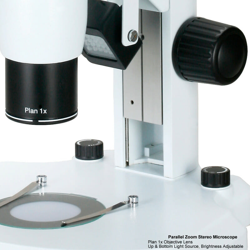Microscope Stéréoscopique à zoom YR0246 // YR0248 – 2