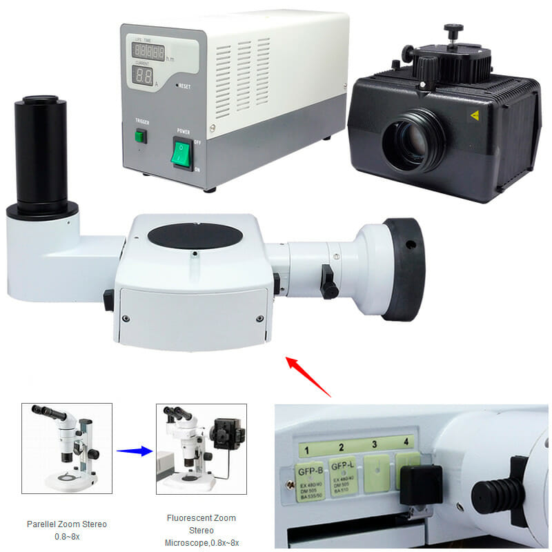 Microscope Stéréoscopique à zoom YR0246 // YR0248 – 5