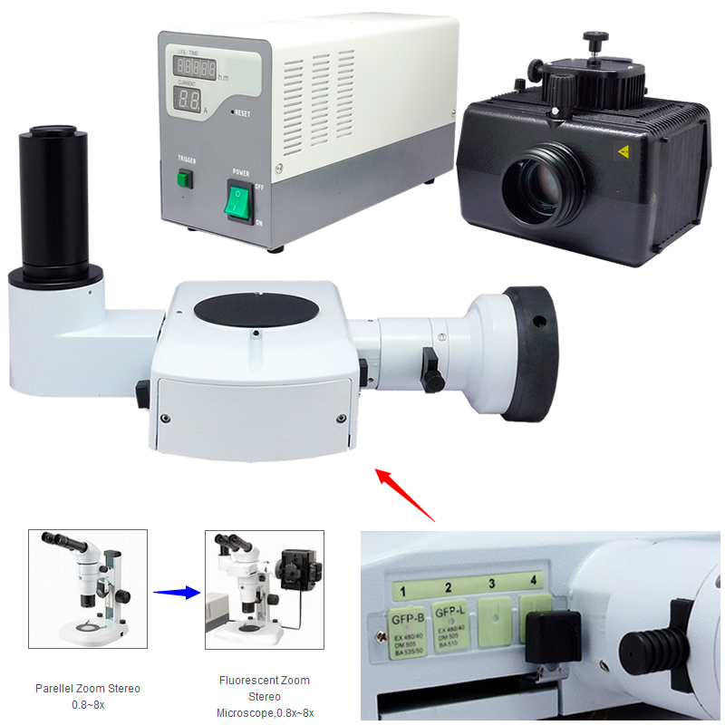 Zoom Stereo Microscope YR0246 // YR0248 – 5