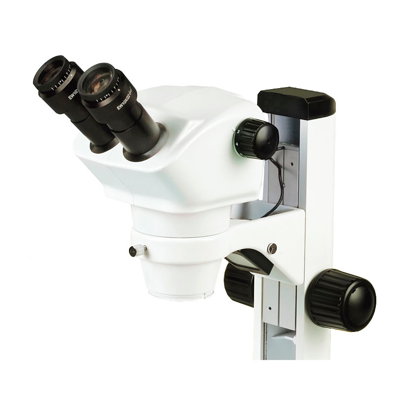 Microscope Binoculaire de Laboratoire YR0254 – 1
