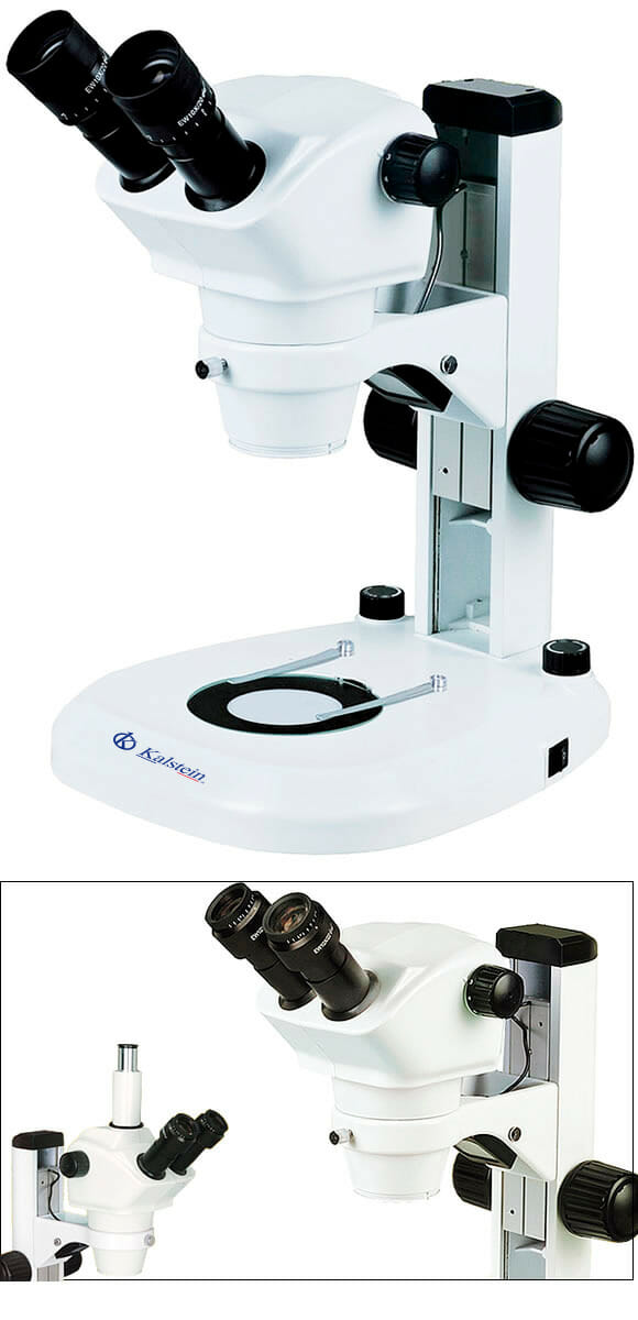 Microscope Binoculaire de Laboratoire YR0254 – 2