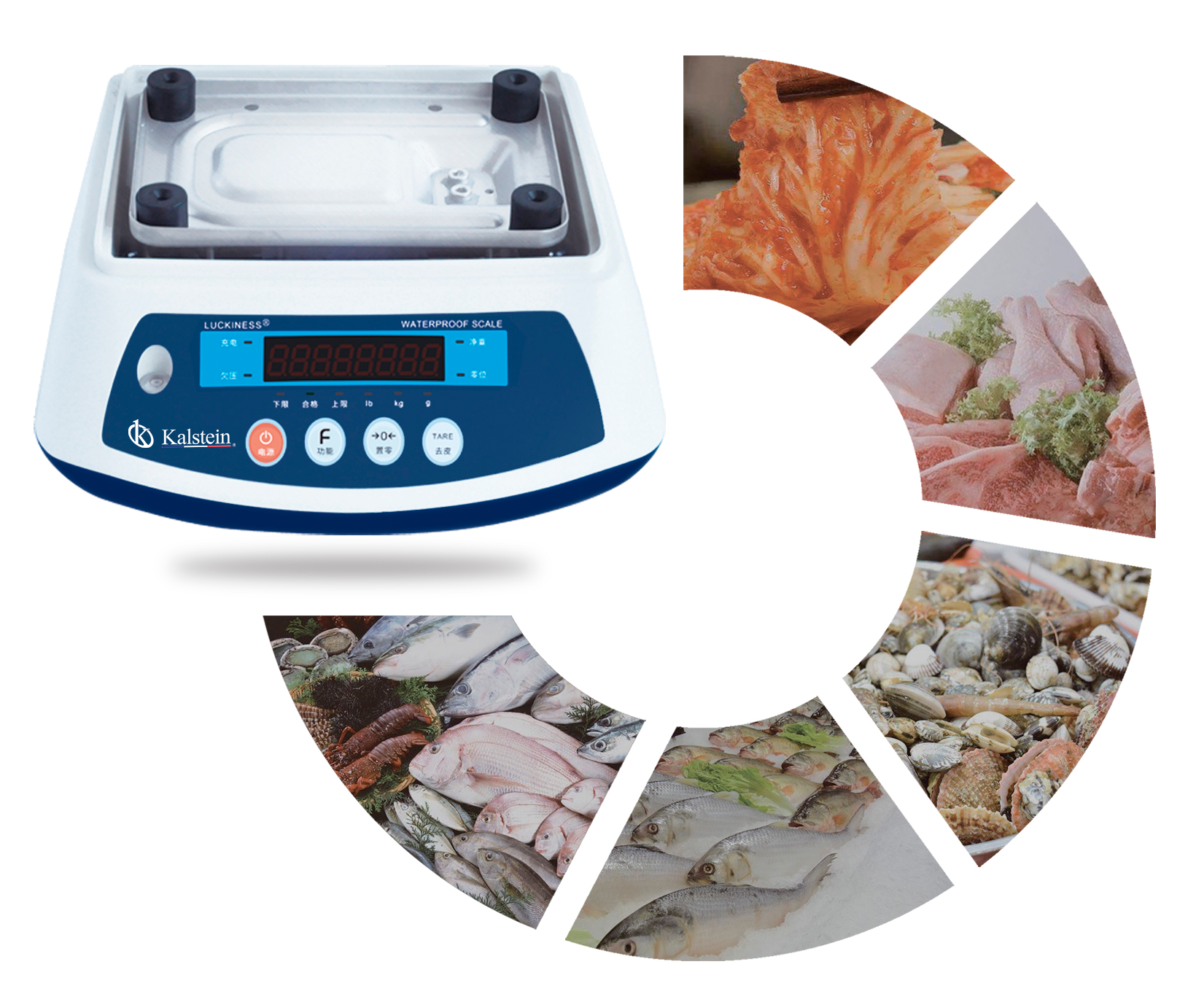 Comparaison scientifique des balances étanches Kalstein YR05623 // YR05628 et BW-Washdown Adam Equipment