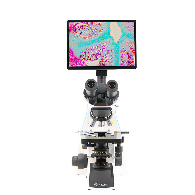 Microscope numérique avec écran tactile LCD YR05782 – 1