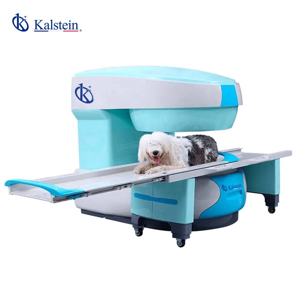 Innovative Veterinary MRI Solutions: A Deep Dive into Kalstein’s Offerings