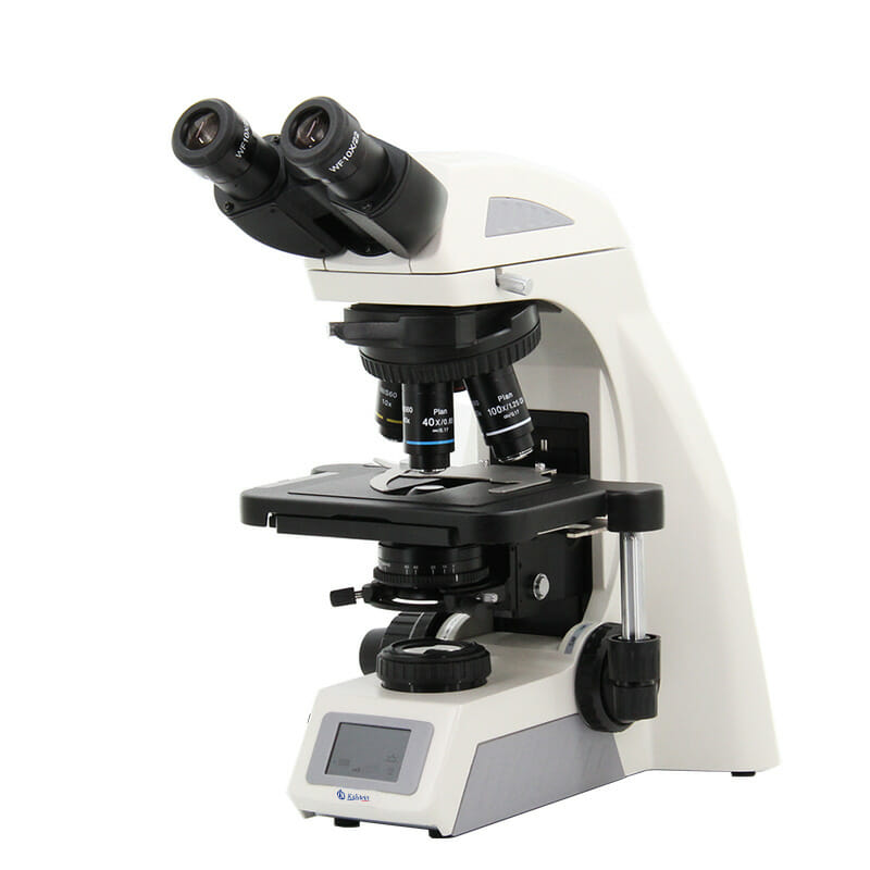 The Importance of Microscopes in the Classroom