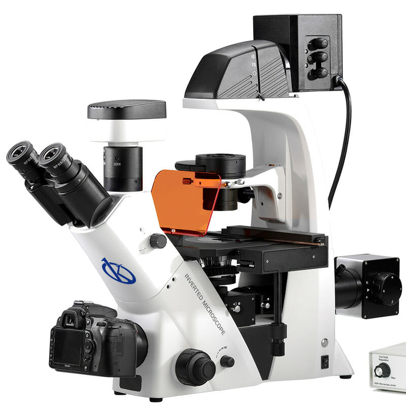 The Fluorescence Microscope: Unparalleled Innovation in Molecular and Cellular Biology