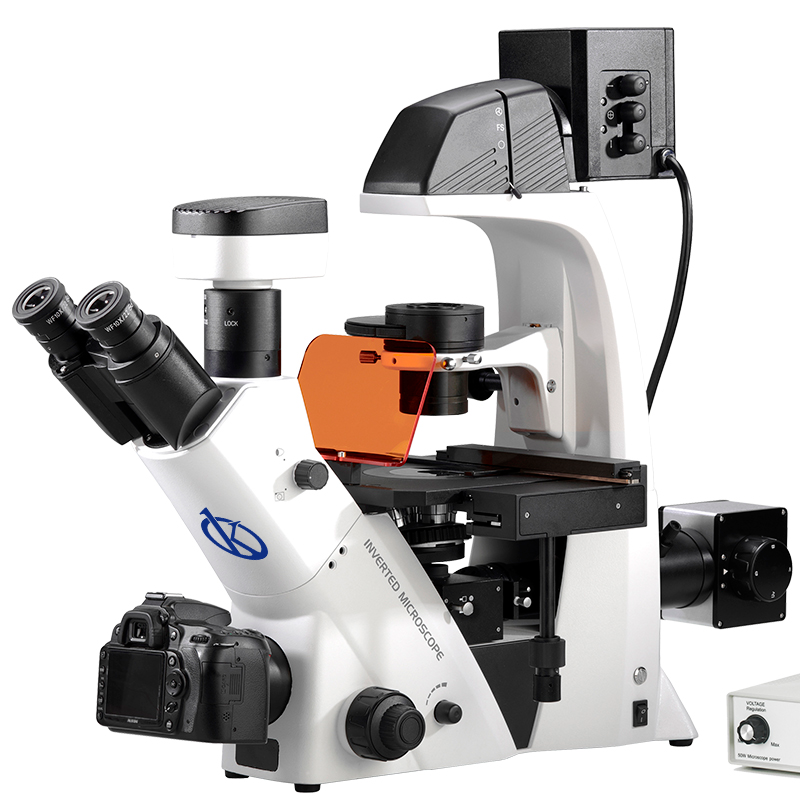 Inverted LED Fluorescent Microscope YR05791 - YR05792
