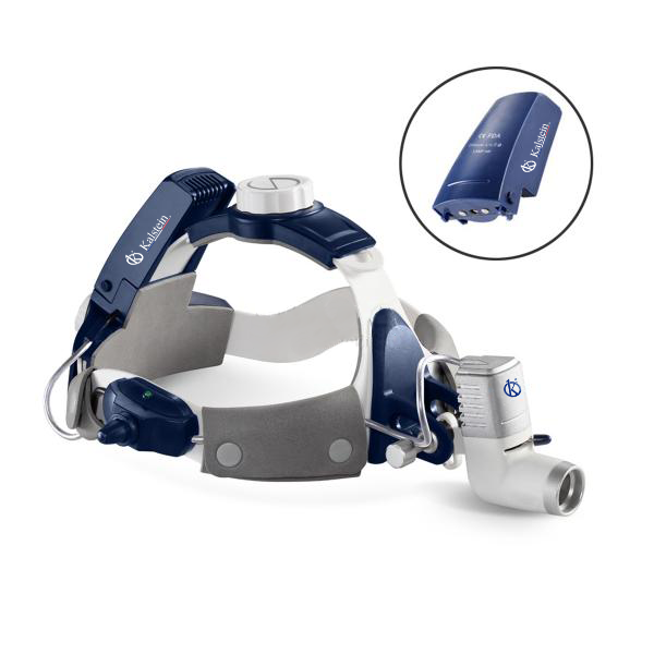 Essential Lighting: Veterinary Lamps for Clarity in Procedures
