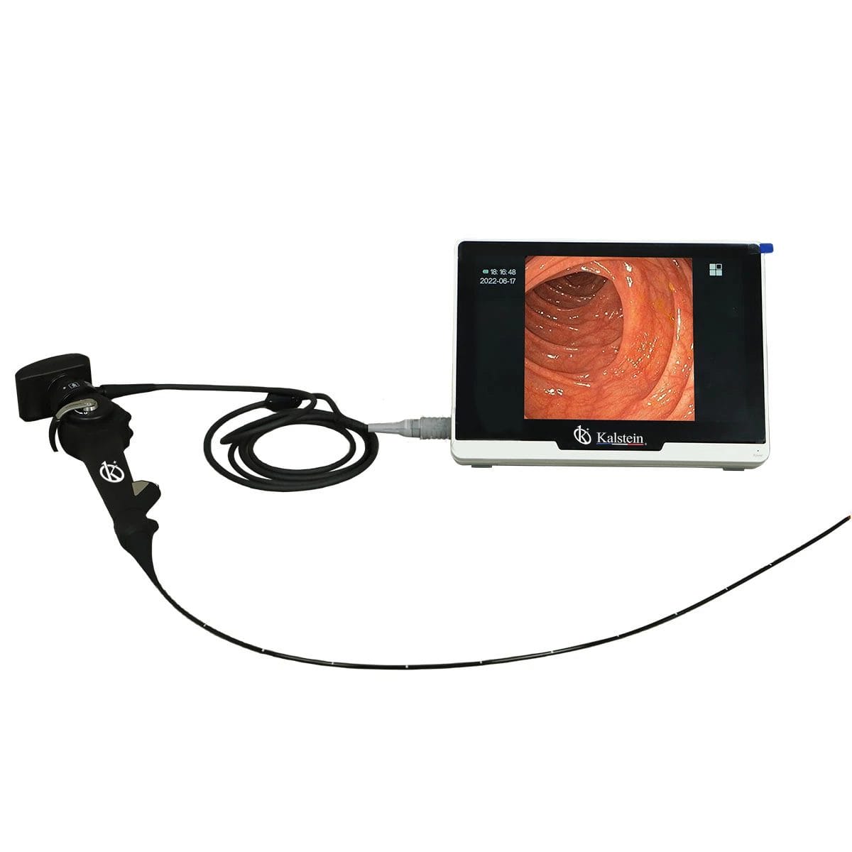 The Kalstein Veterinary Video Endoscope: An Essential Technological Advance for Animal Health