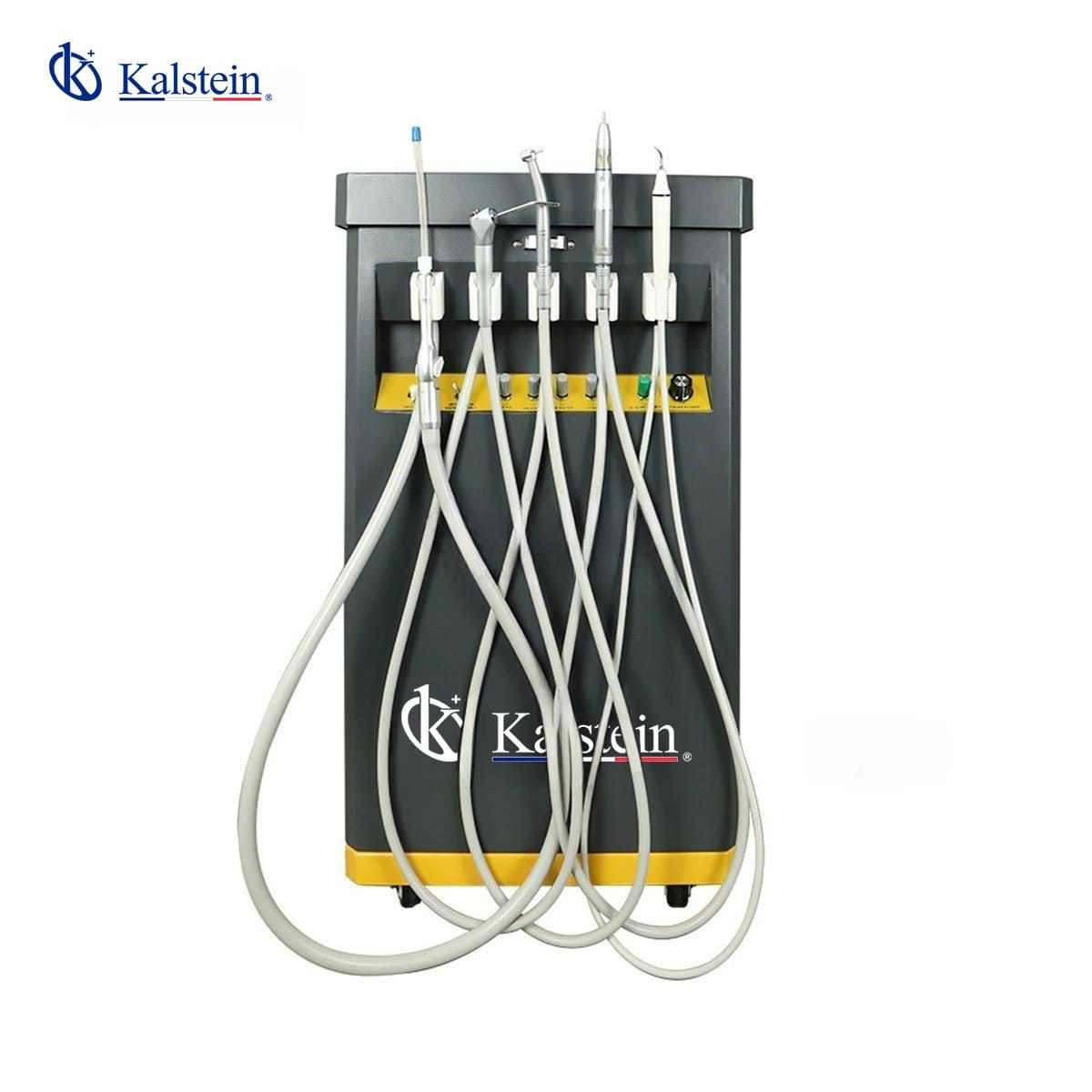 Revolutionizing Veterinary Dentistry with Kalstein's Advanced Dental Units