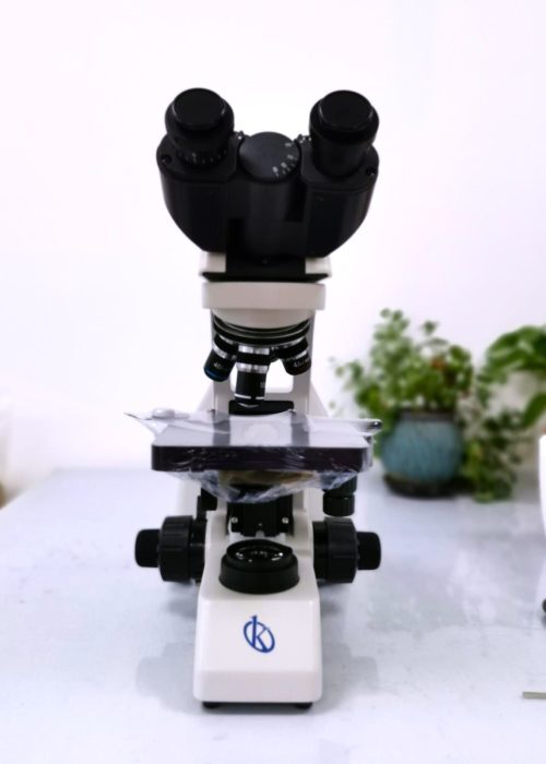 Using a Microscope to Analyze Tissue Caused by Hantavirus (HSV)