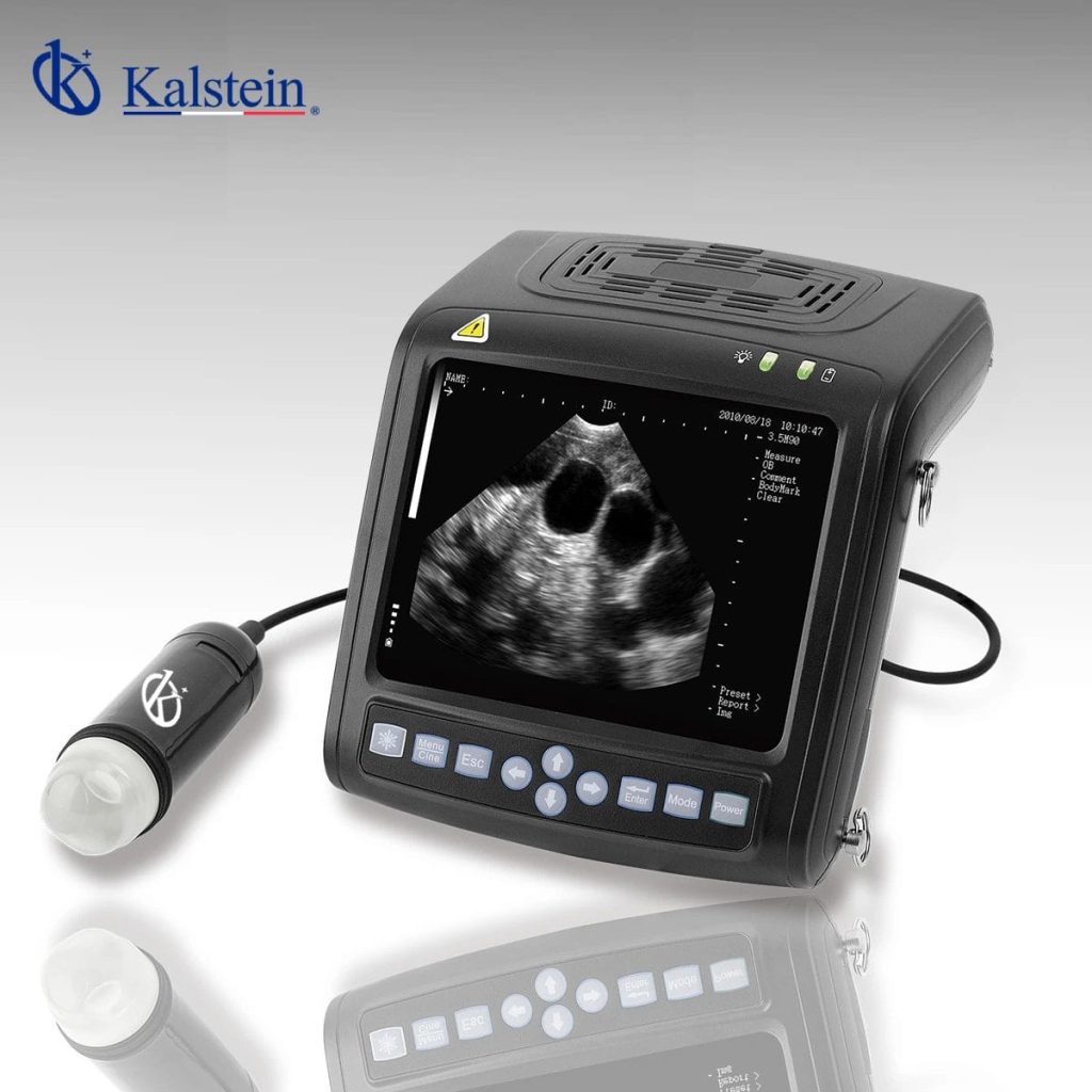Veterinary Ultrasound: Clear and Quick Visualization of Internal Tissues