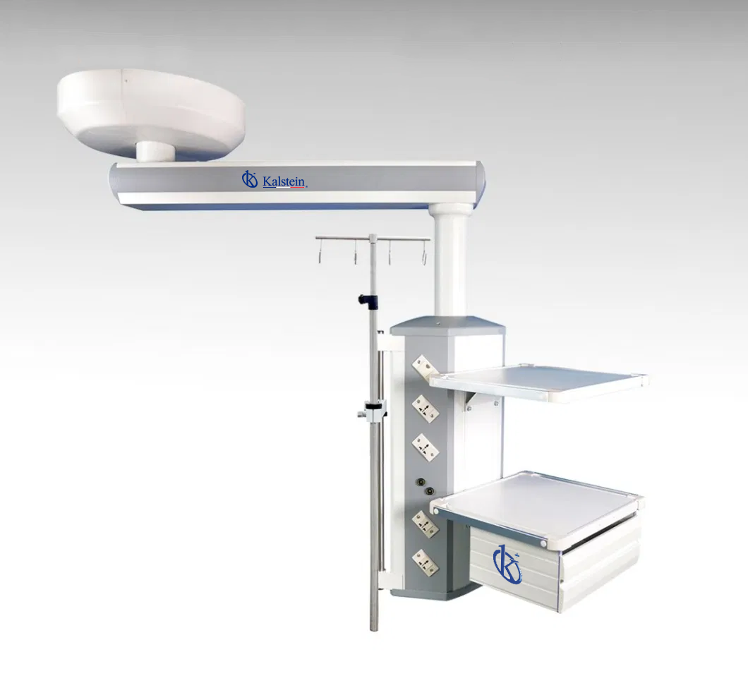 Un Éclairage Précis pour les Soins Animaliers : Découvrez les Lampes Vétérinaires de Kalstein