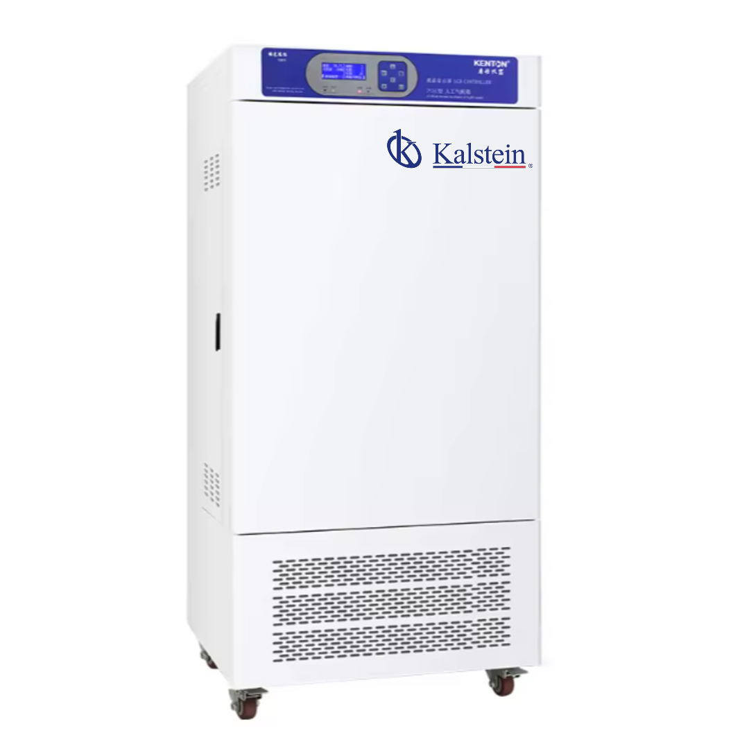 Incubateur à chambre climatique biologique YR06676