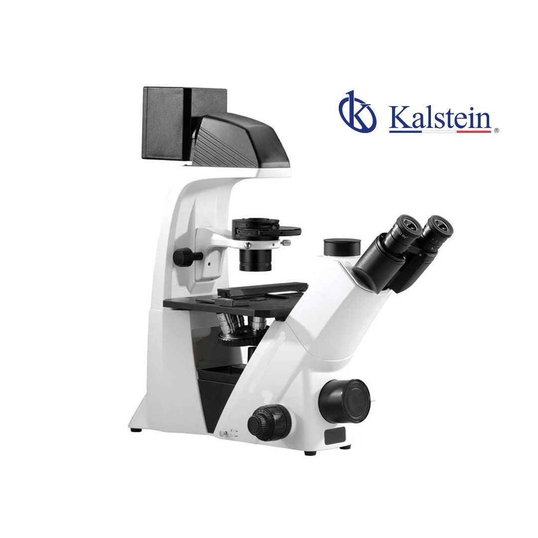 Comparaison Scientifique : Microscope Biologique Inversé à Contraste de Phase YR06682 vs. EVOS XL Core