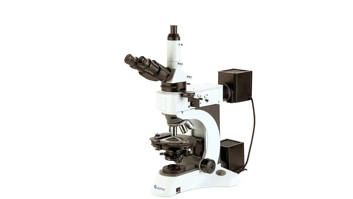 Practical Use of the Microscope Trinocular YR0263 in Laboratories