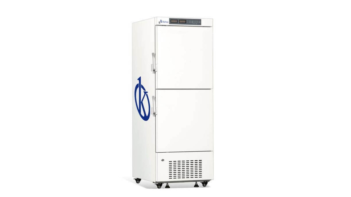 Stainless Steel Vertical Freezer with Drawers YR05311: An Investment Worth Making