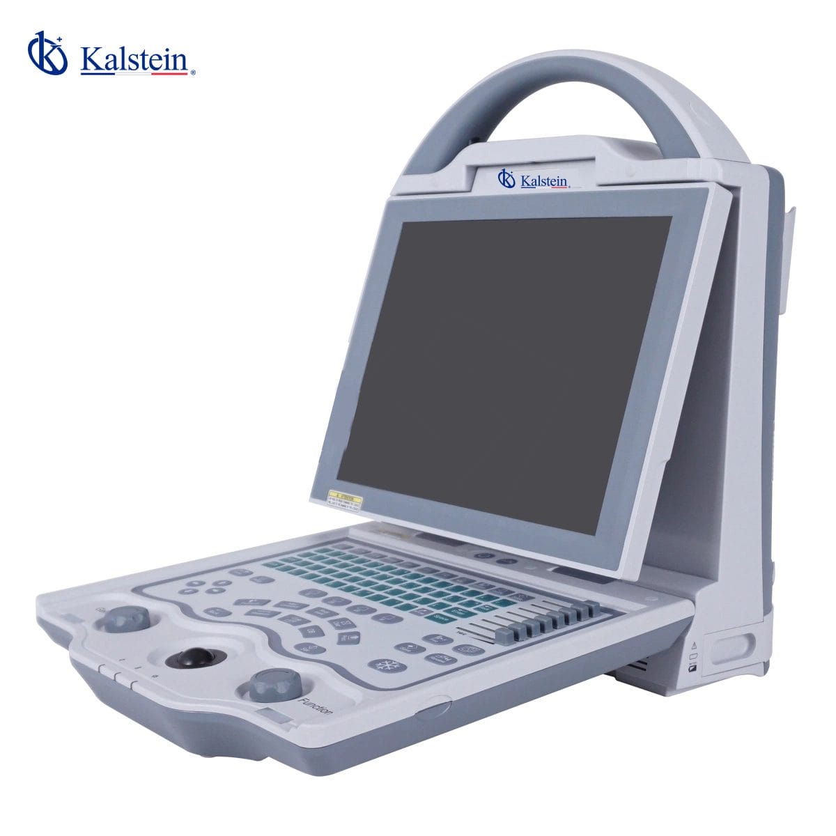 Maximiser le Diagnostic Vétérinaire: L'Avantage des Ultrasons Vétérinaires de Kalstein