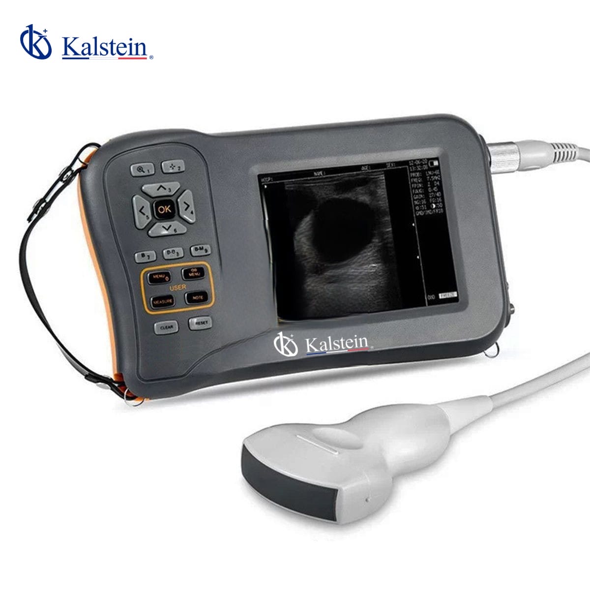 Veterinary Ultrasound: A Detailed Study of a Revolutionary Instrument for Animal Health
