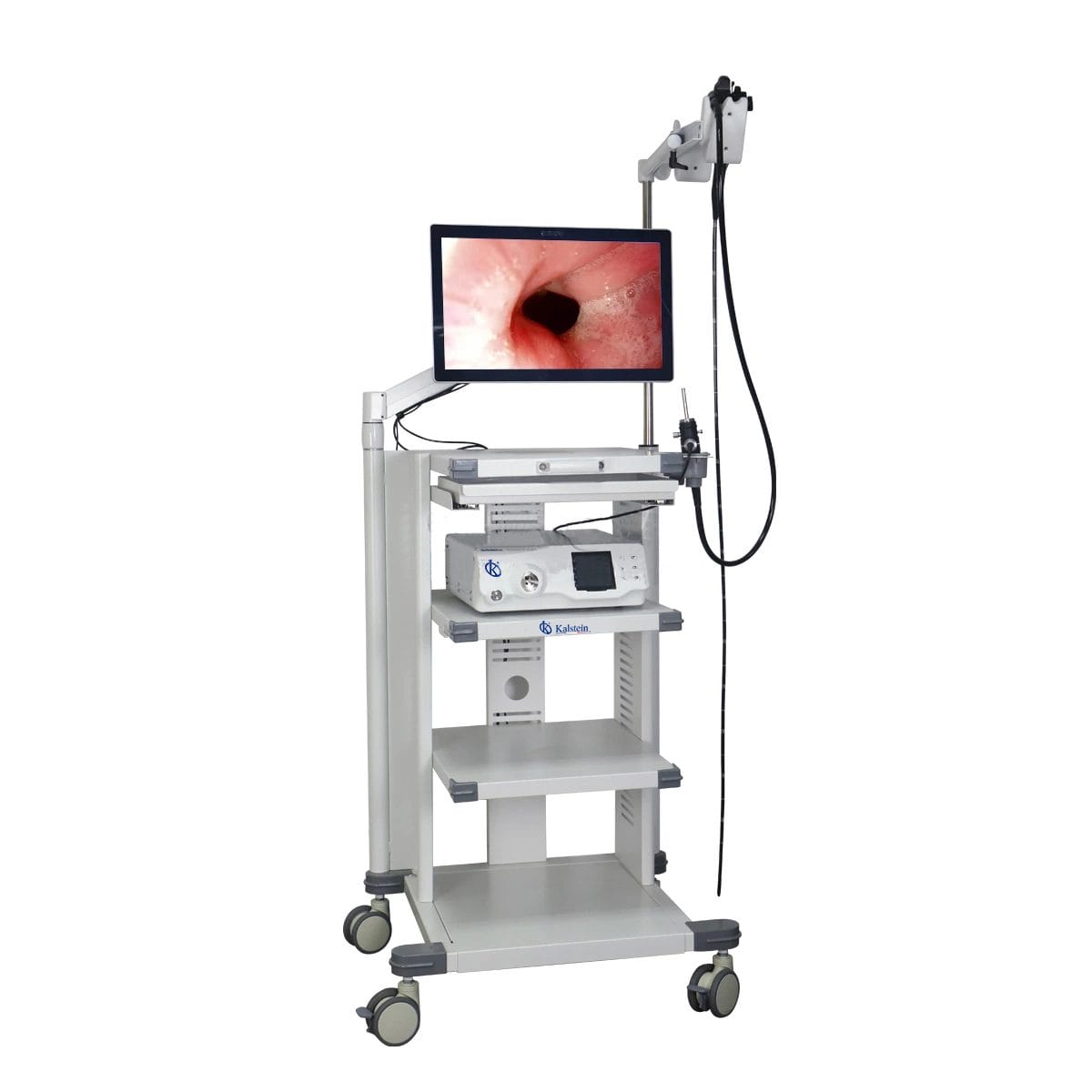 Plongeant dans le monde de la vidéo endoscopie vétérinaire: une gestion de qualité avec Kalstein