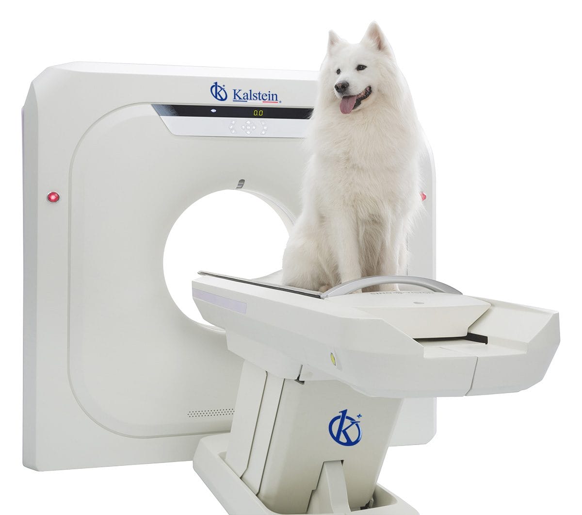 Innovation en Diagnostic Vétérinaire: Le Scanner CT de Kalstein